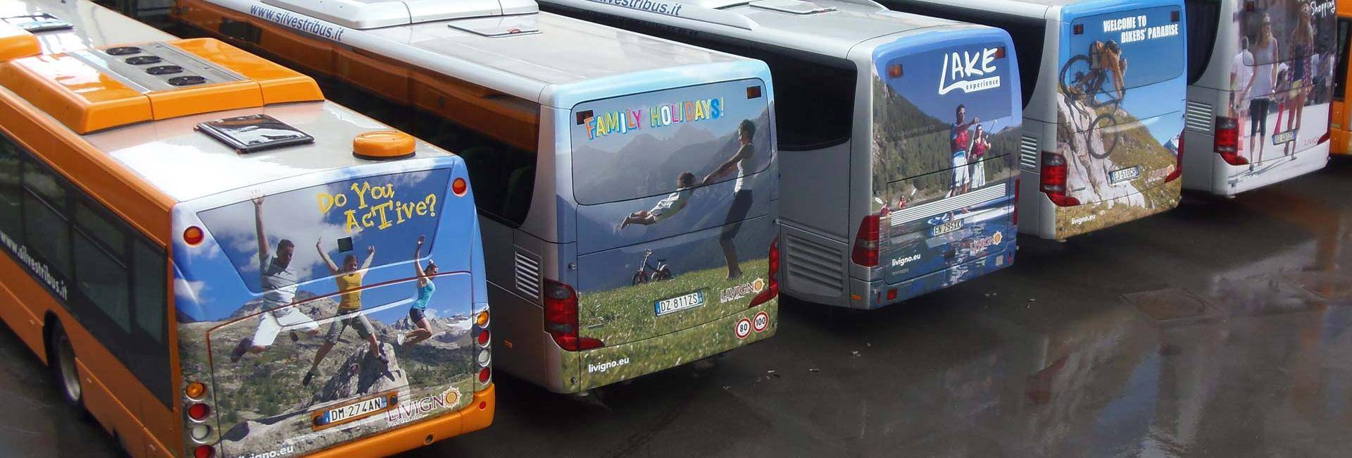 BUS gratuito a Livigno: Immagine