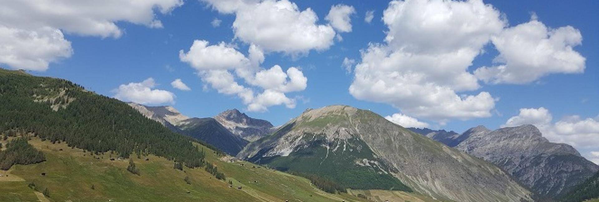 Vista panoramica dalla Family room n1, Hotel del Bosco: Immagine