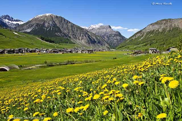 Primavera a Livigno